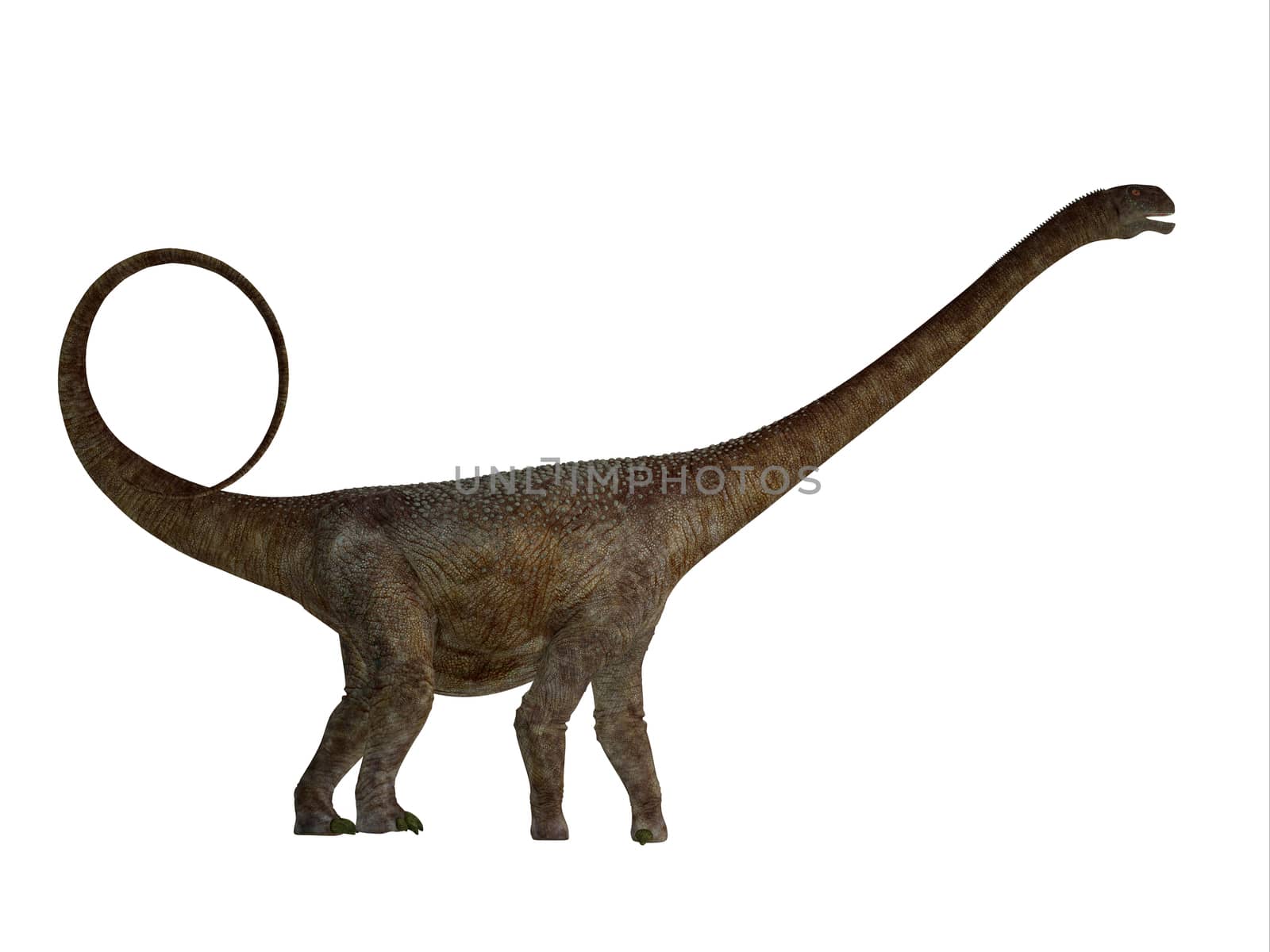 Malawisaurus Side Profile by Catmando