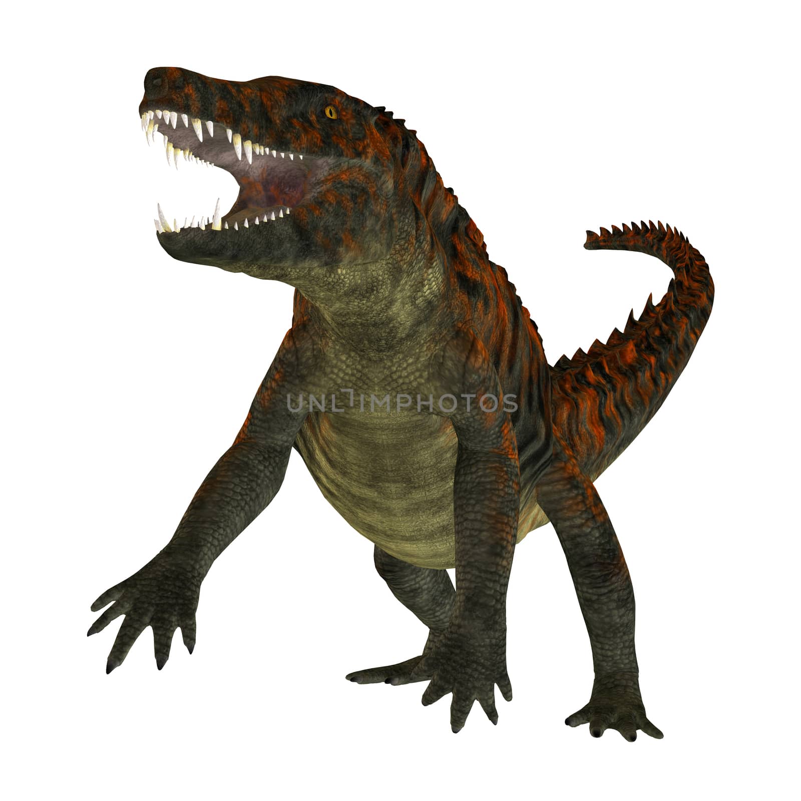 Uberabasuchus was an archosaur carnivorous crocodile that lived in the Cretaceous Period of Brazil.