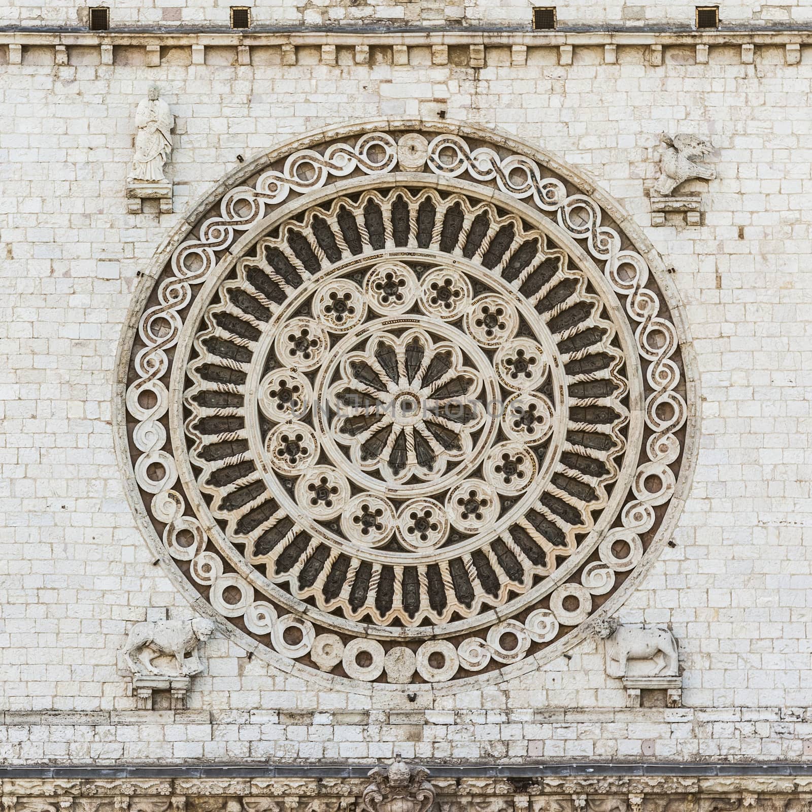 An image of the window rose from Assisi
