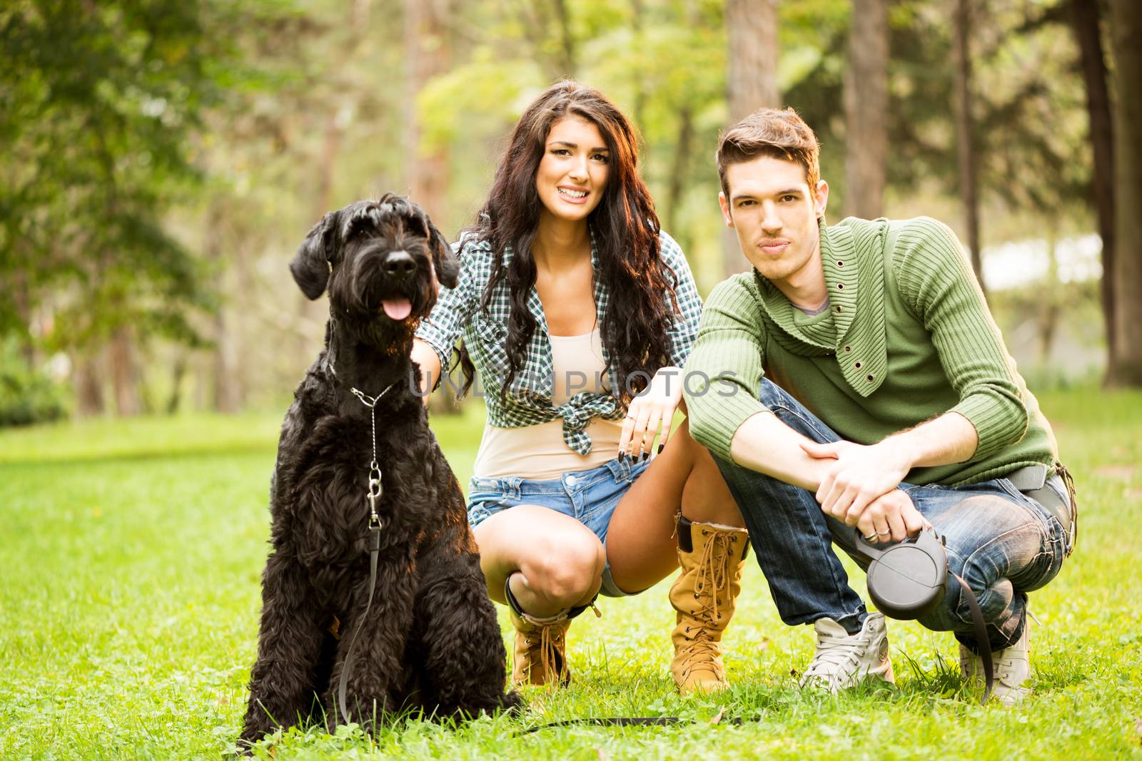 The young attractive girl crouches in the park with her boyfriend next to her dog, a black giant schnauzer.