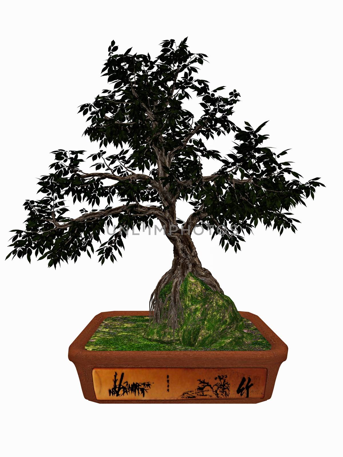 Hornbeam tree bonsai - 3D render by Elenaphotos21