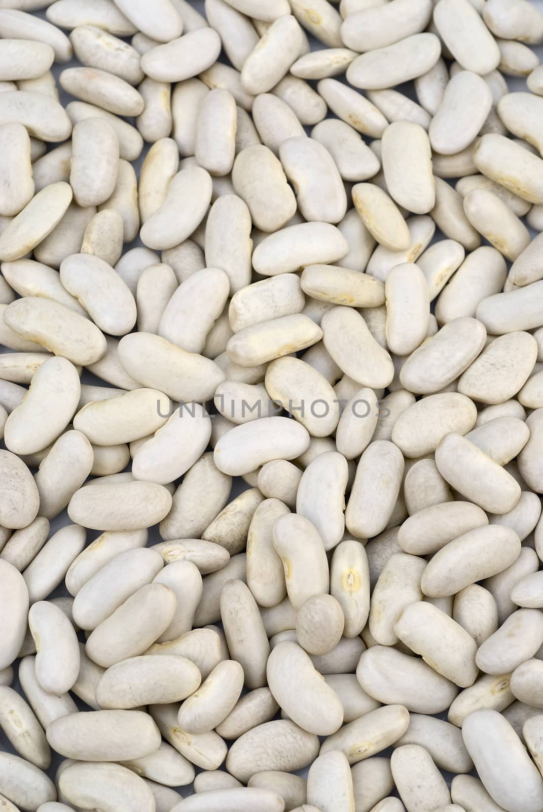 background of white beans