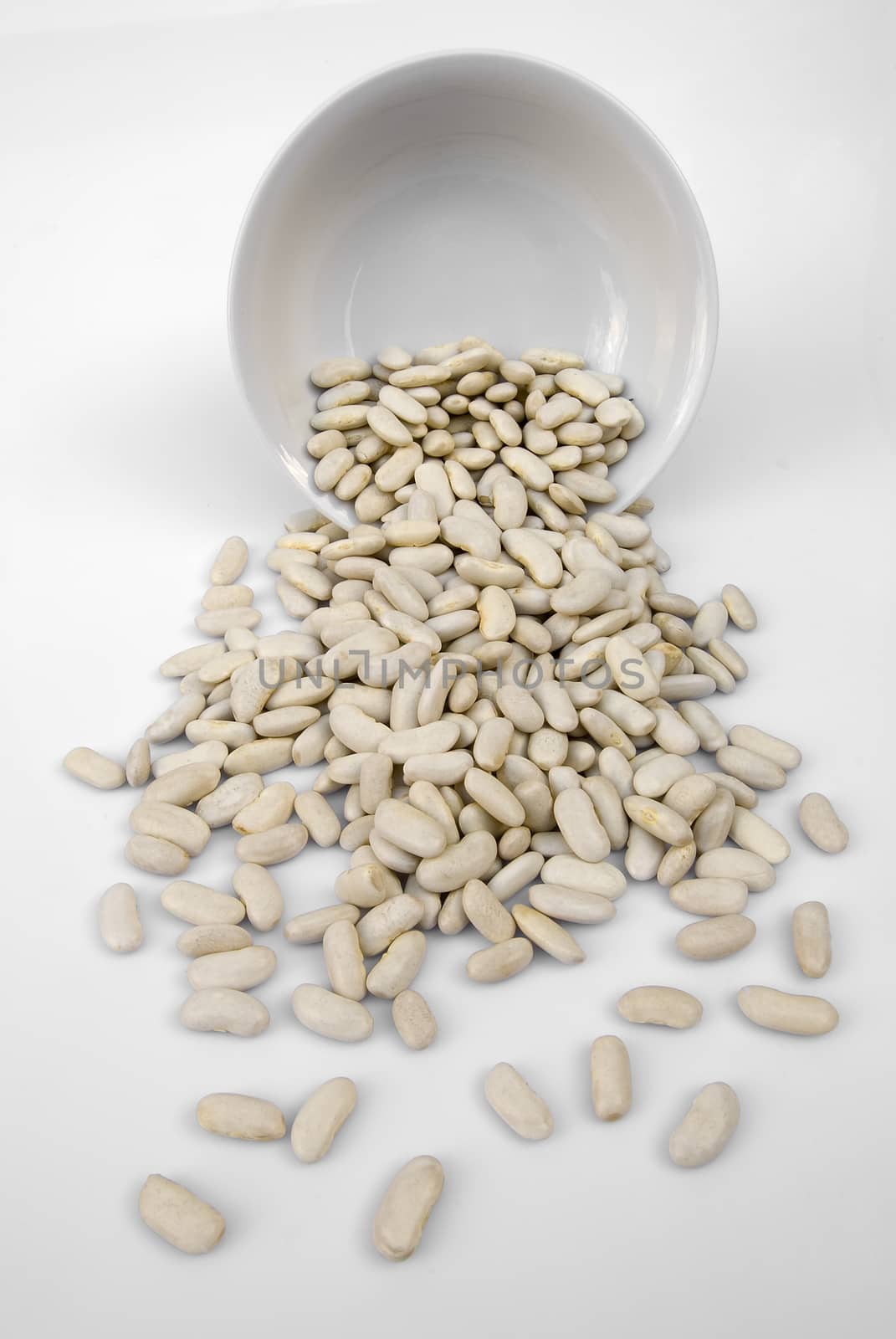 cannellini beans with white ceramic bowl