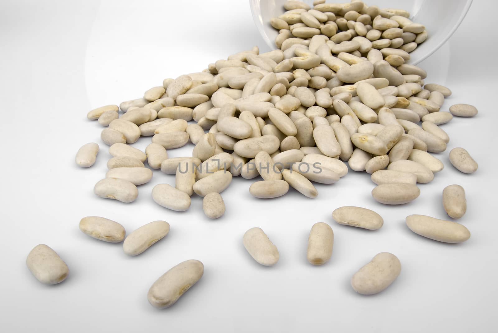 white Beans on white background