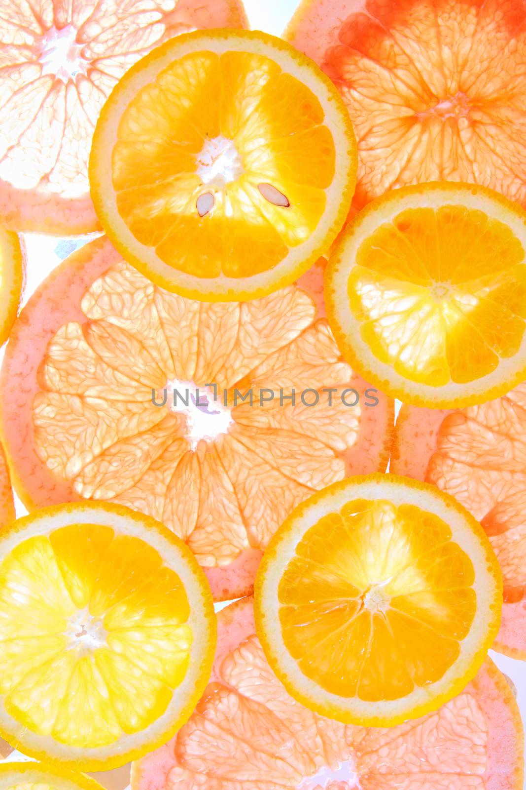 Orange and grapefruit rings background by sarymsakov