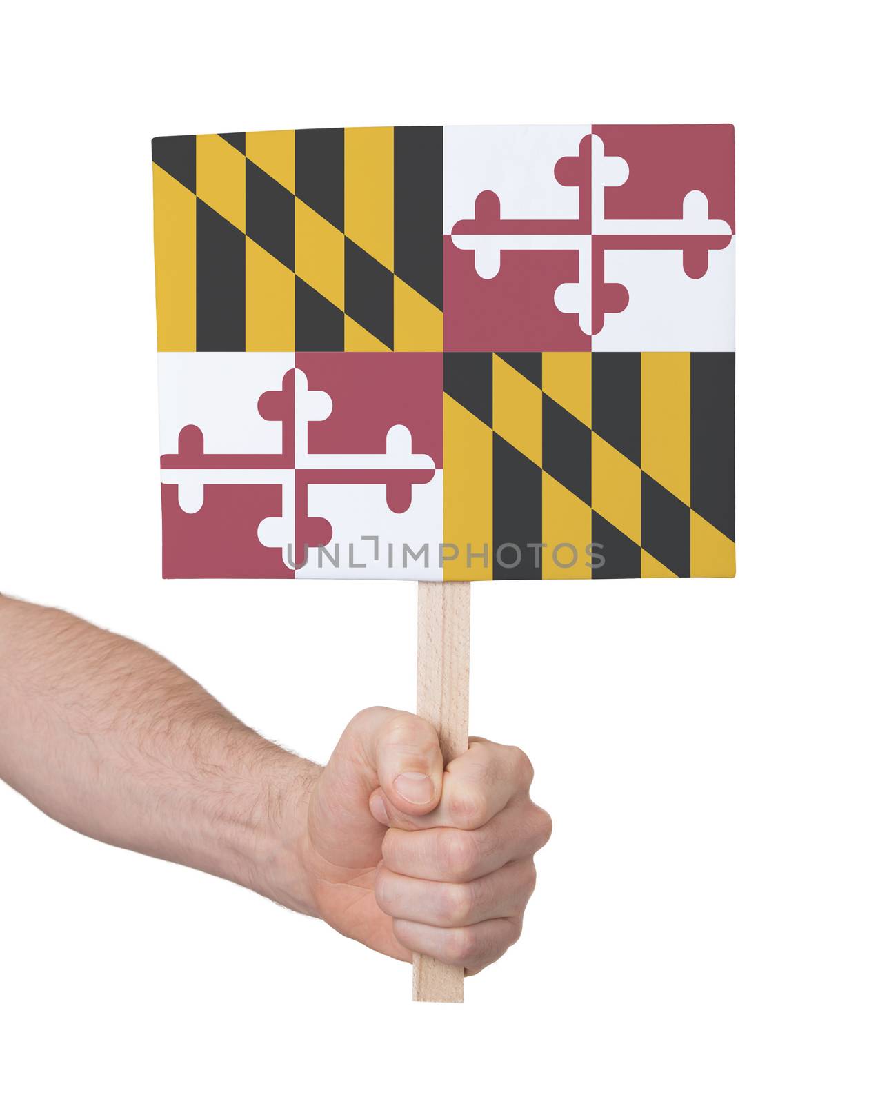 Hand holding small card, isolated on white - Flag of Maryland