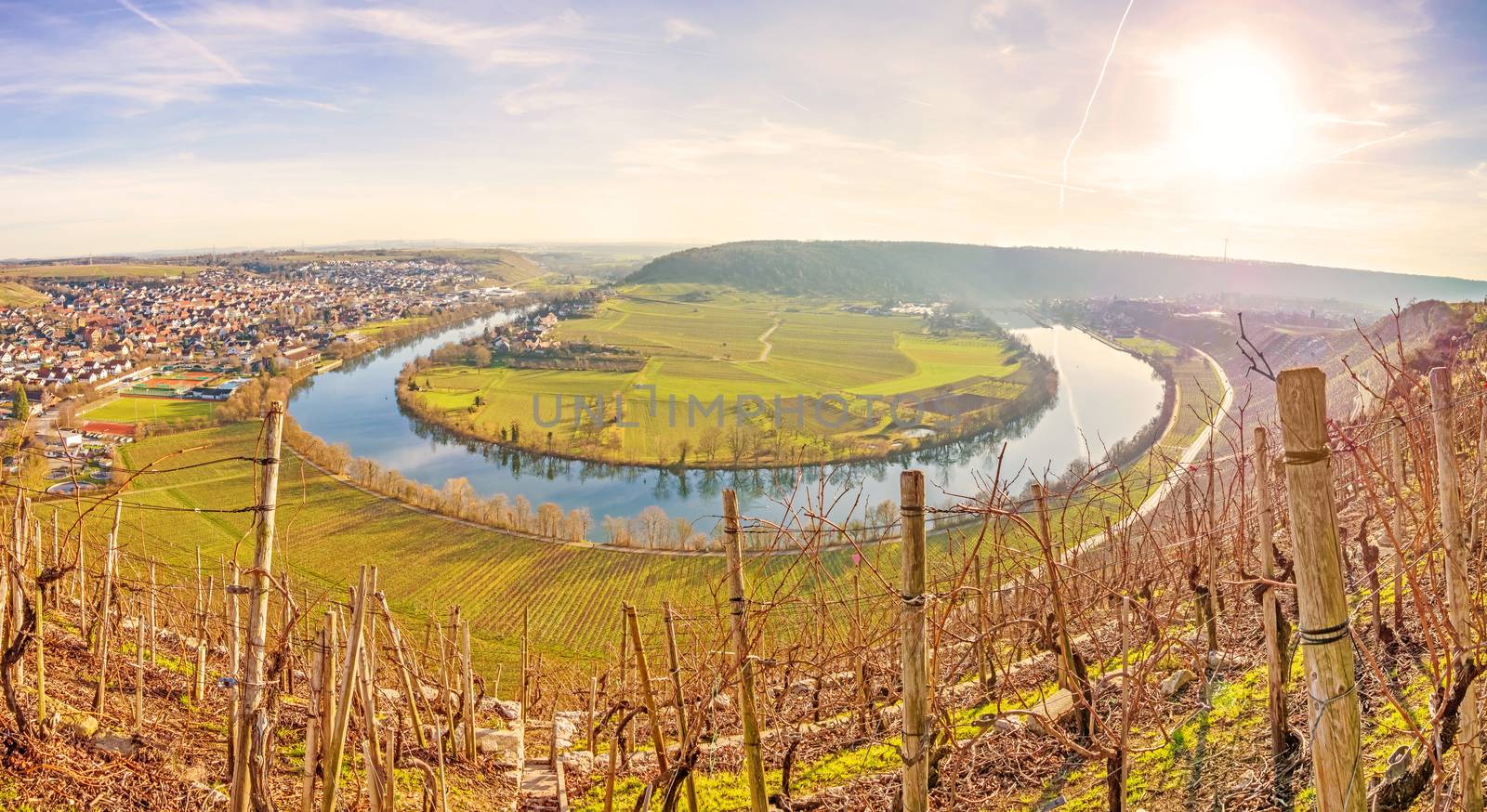 Neckar loop in Hessigheim - panorama in the vineyards