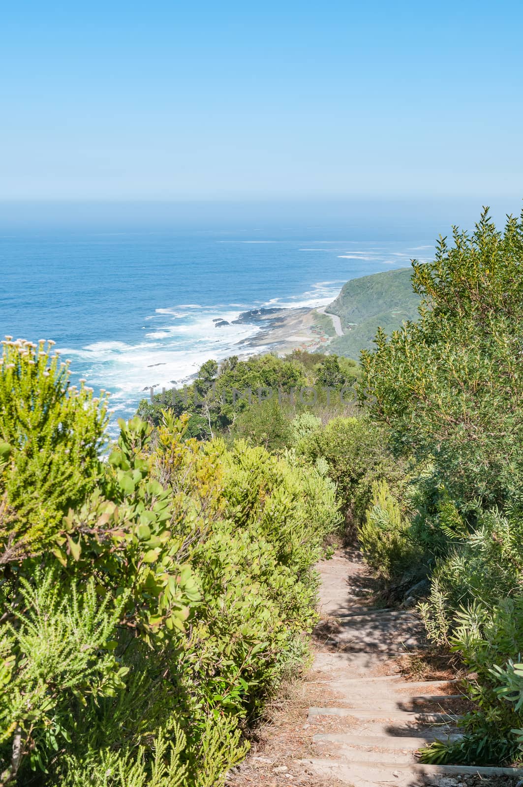 The trail from viewpoint on the hill opposite the river mouth back to Storms River Mouth. The rest camp is visible below