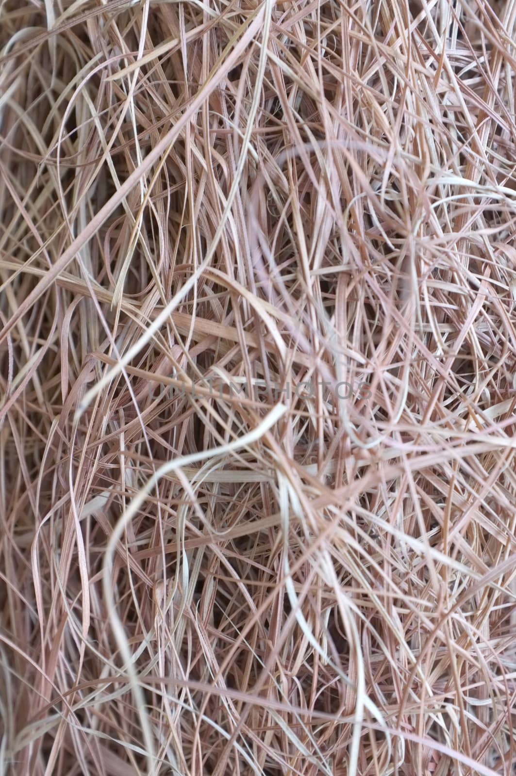 Dry straw