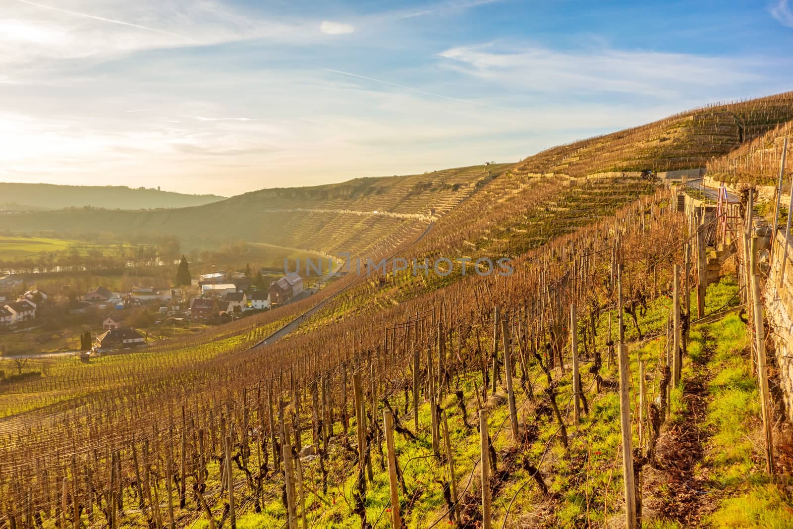 sunset / sunrise over vineyard