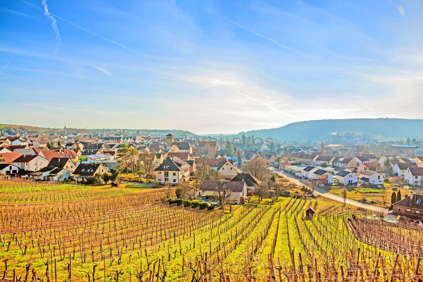 view over town Hessigheim