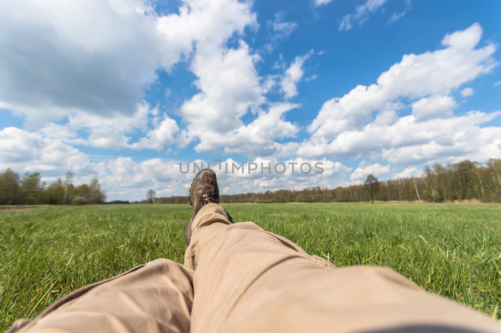 natural green colorful rural meadow, nature series