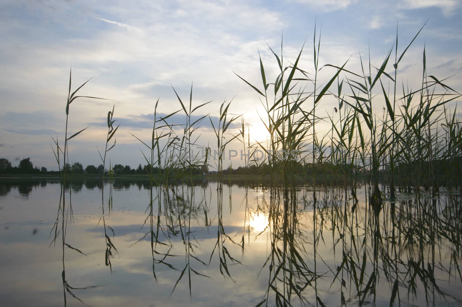 landscape with natural river, nature series