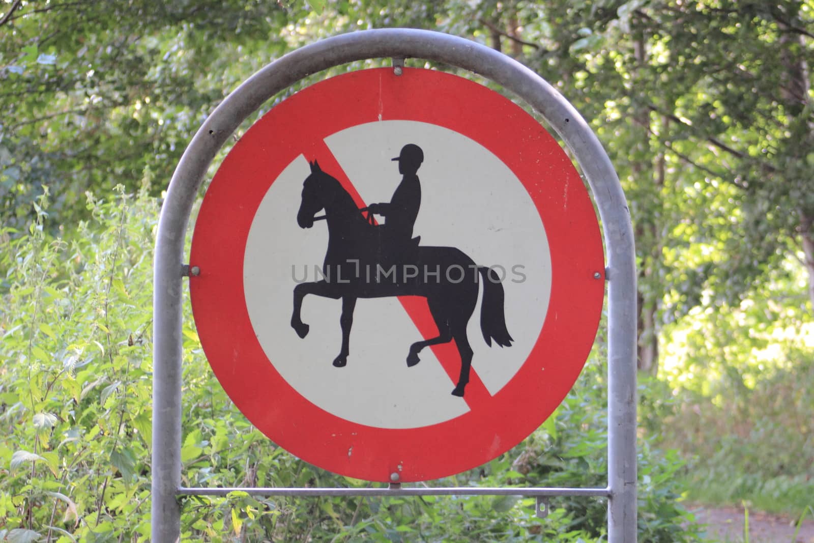 Sign in forest prohibits horseback riding