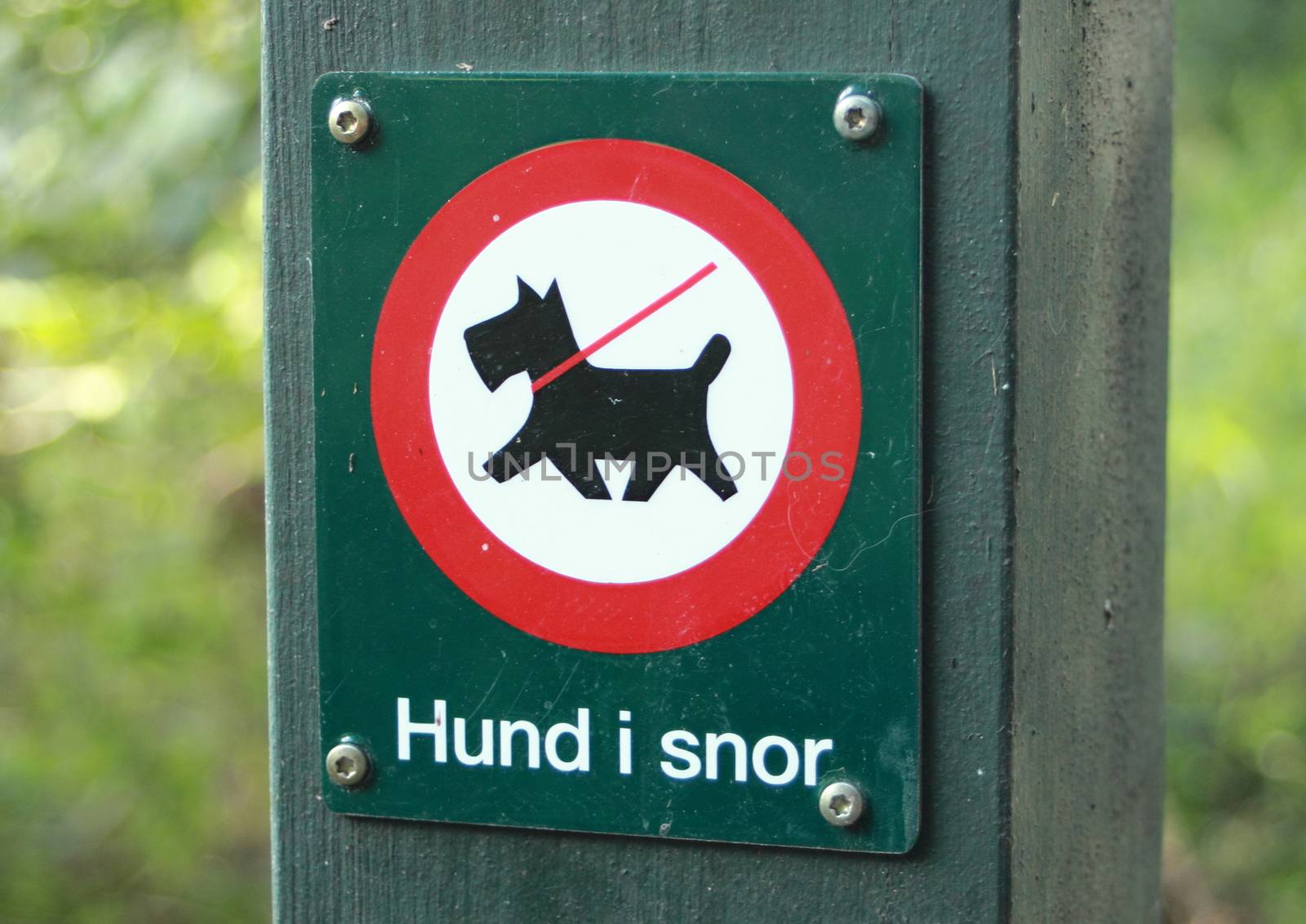 Sign in forest prohibits dogs without leash