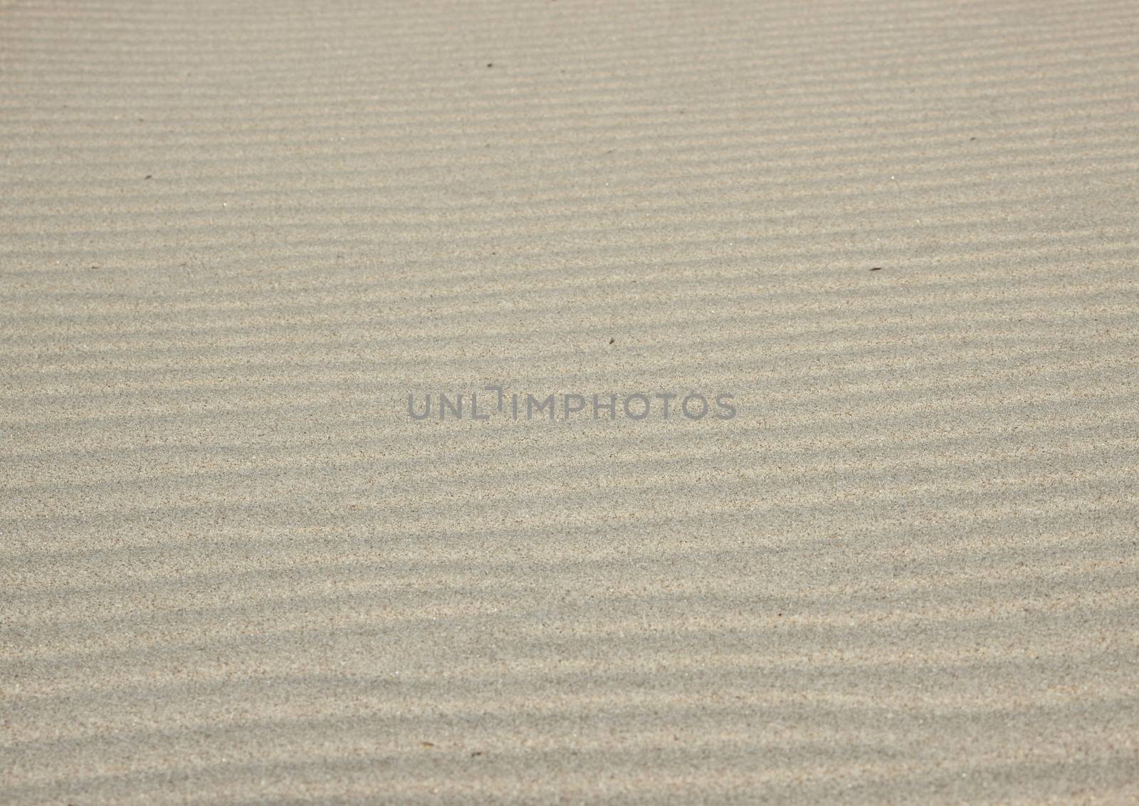 Isolated horizontal sand wave texture at beach