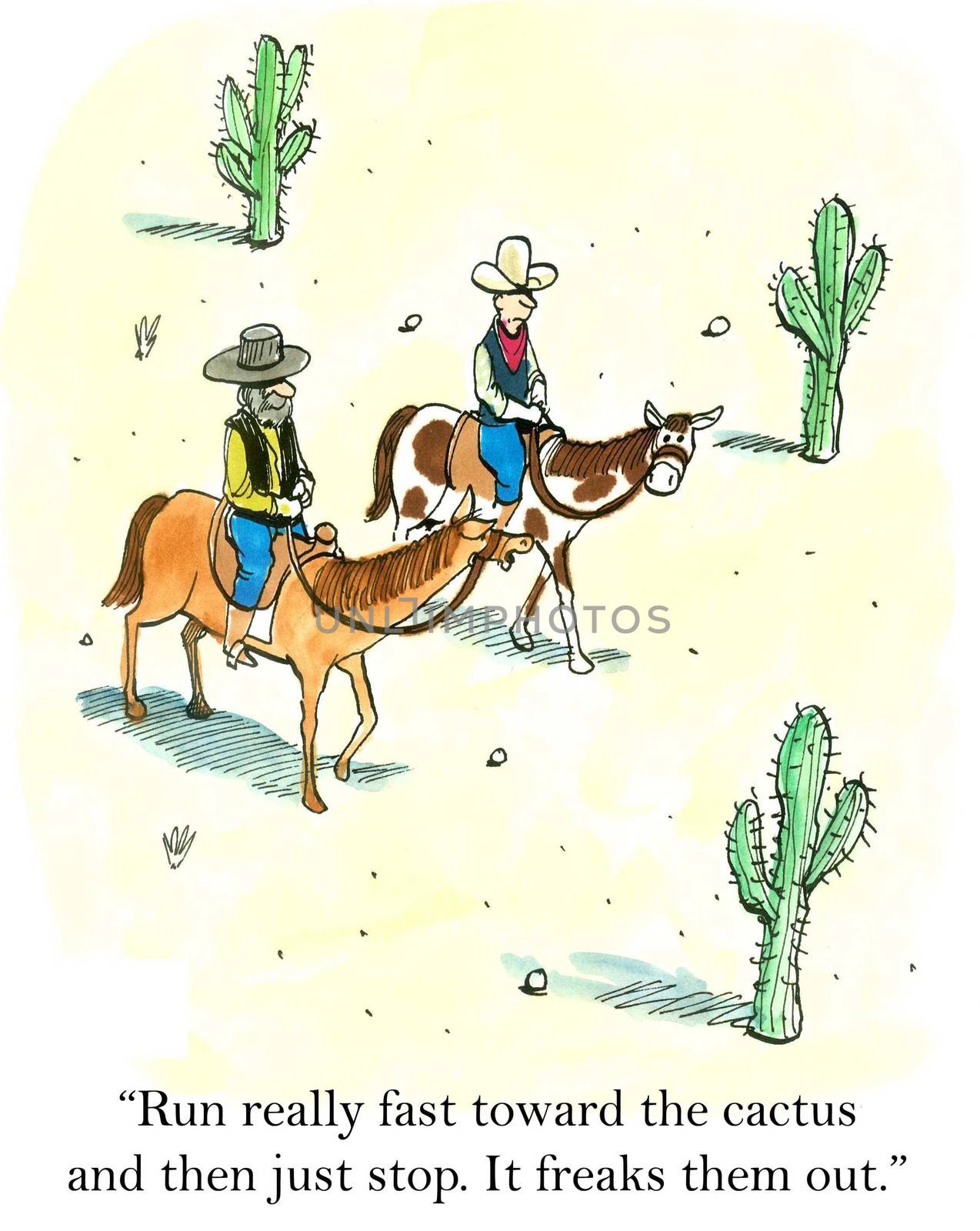 "Run really fast toward the cactus and then just stop. Freaks them out."
