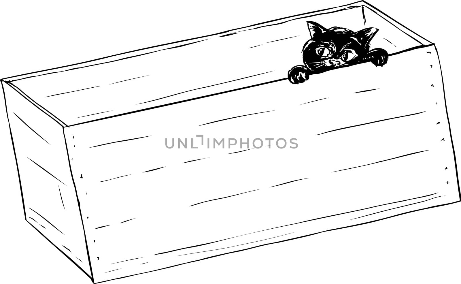 Sketch illustration outline of adorable little kitten peeking from inside of wooden crate