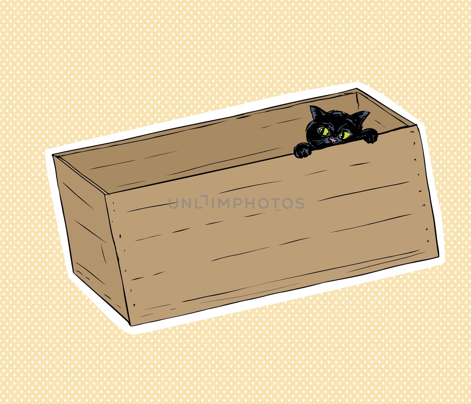 Black cat peeking from inside a box by TheBlackRhino