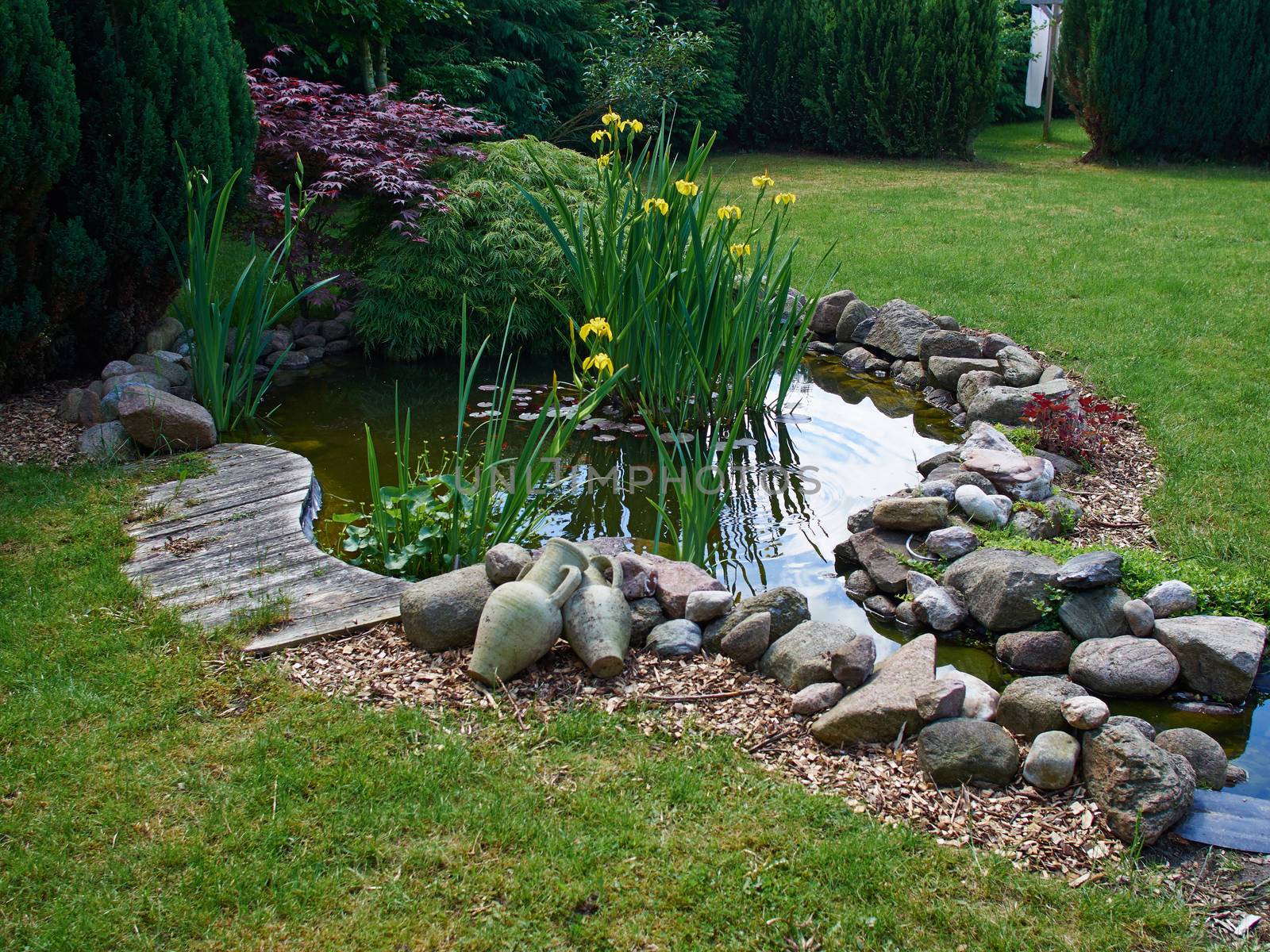 Beautiful classical garden fish pond surrounded by grass gardening background