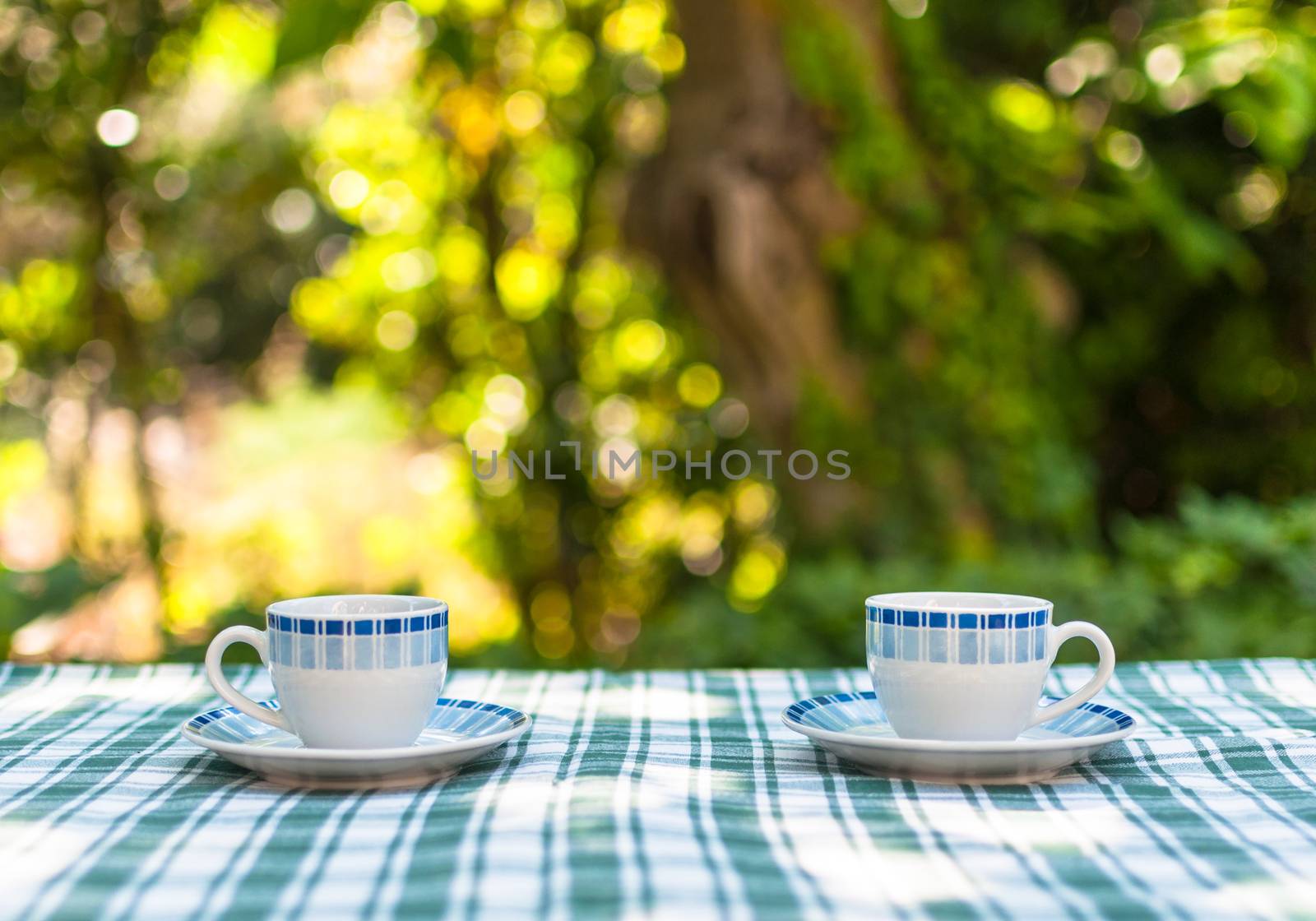 Two little cups of coffee on a table in a garden
