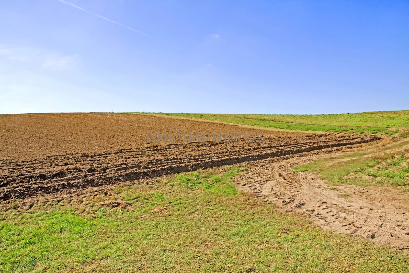 rural brown farm land field with blue and cloudless sky