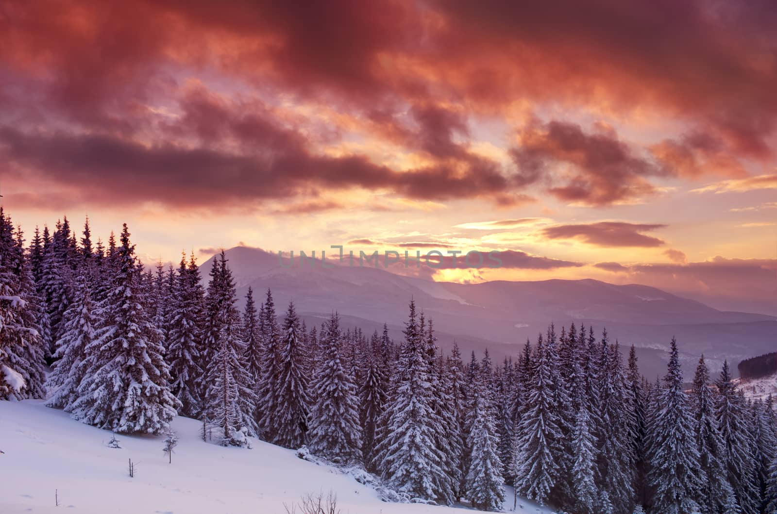 Majestic winter landscape glowing by sunlight in the morning. Dr