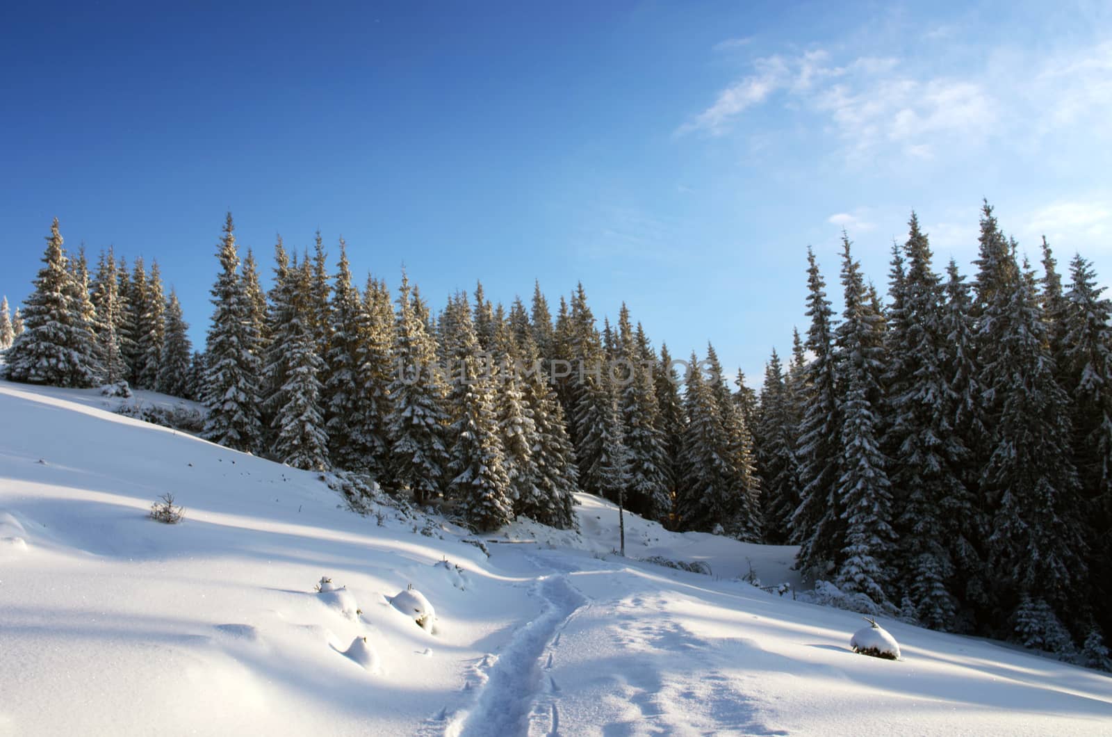 Majestic winter landscape glowing by sunlight in the morning. Dr by dolnikow