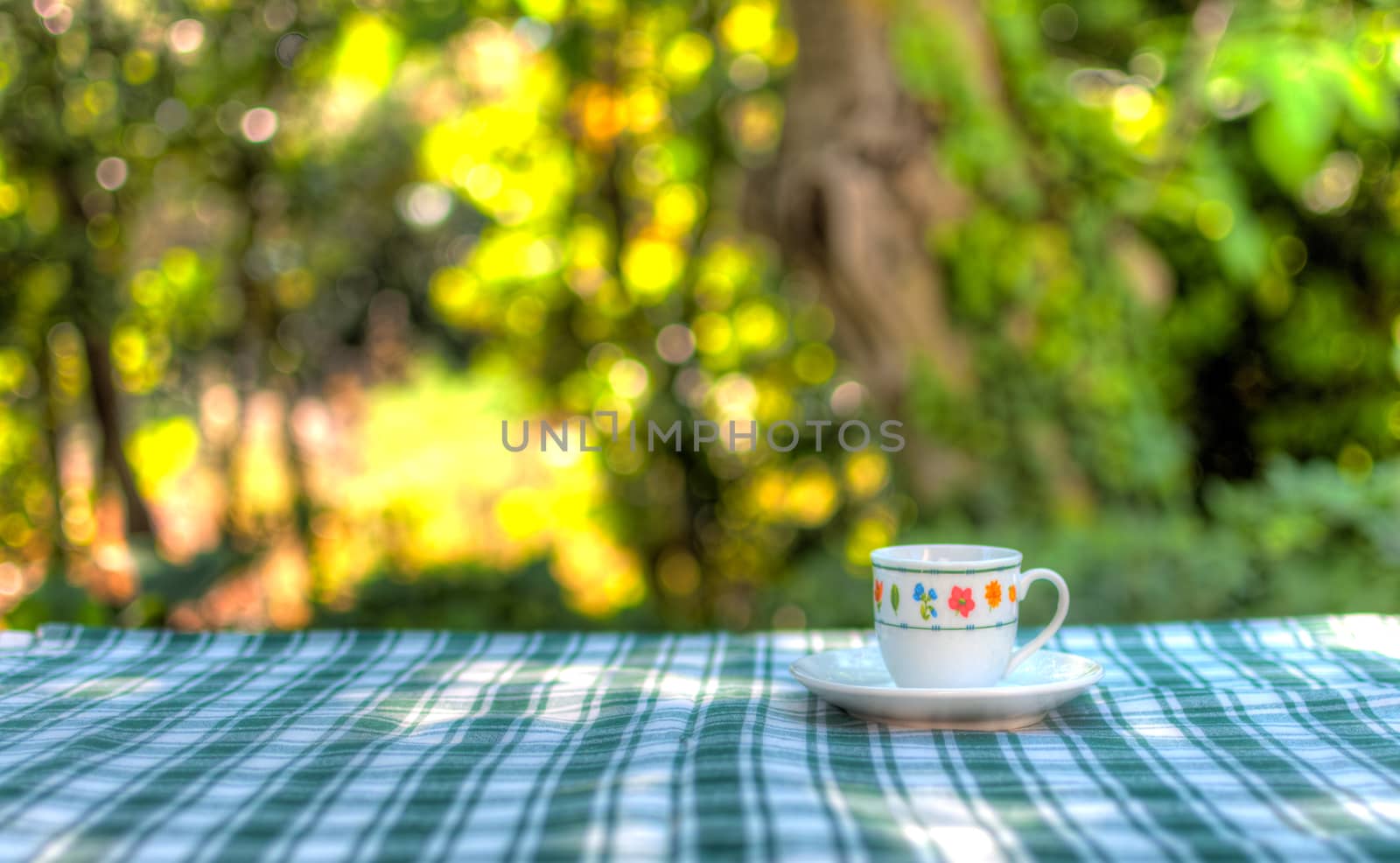 A little cup of coffe on a table in the garden