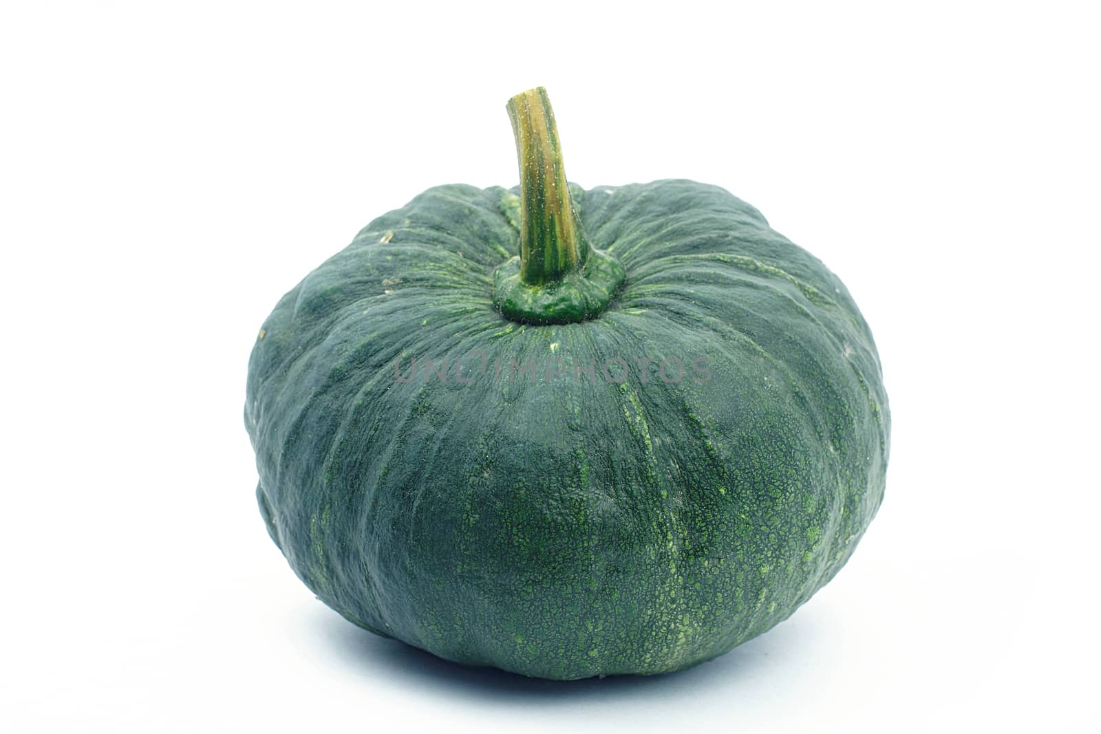 Green pumpkin on white background. Small green pumpkin on white background. object side view.