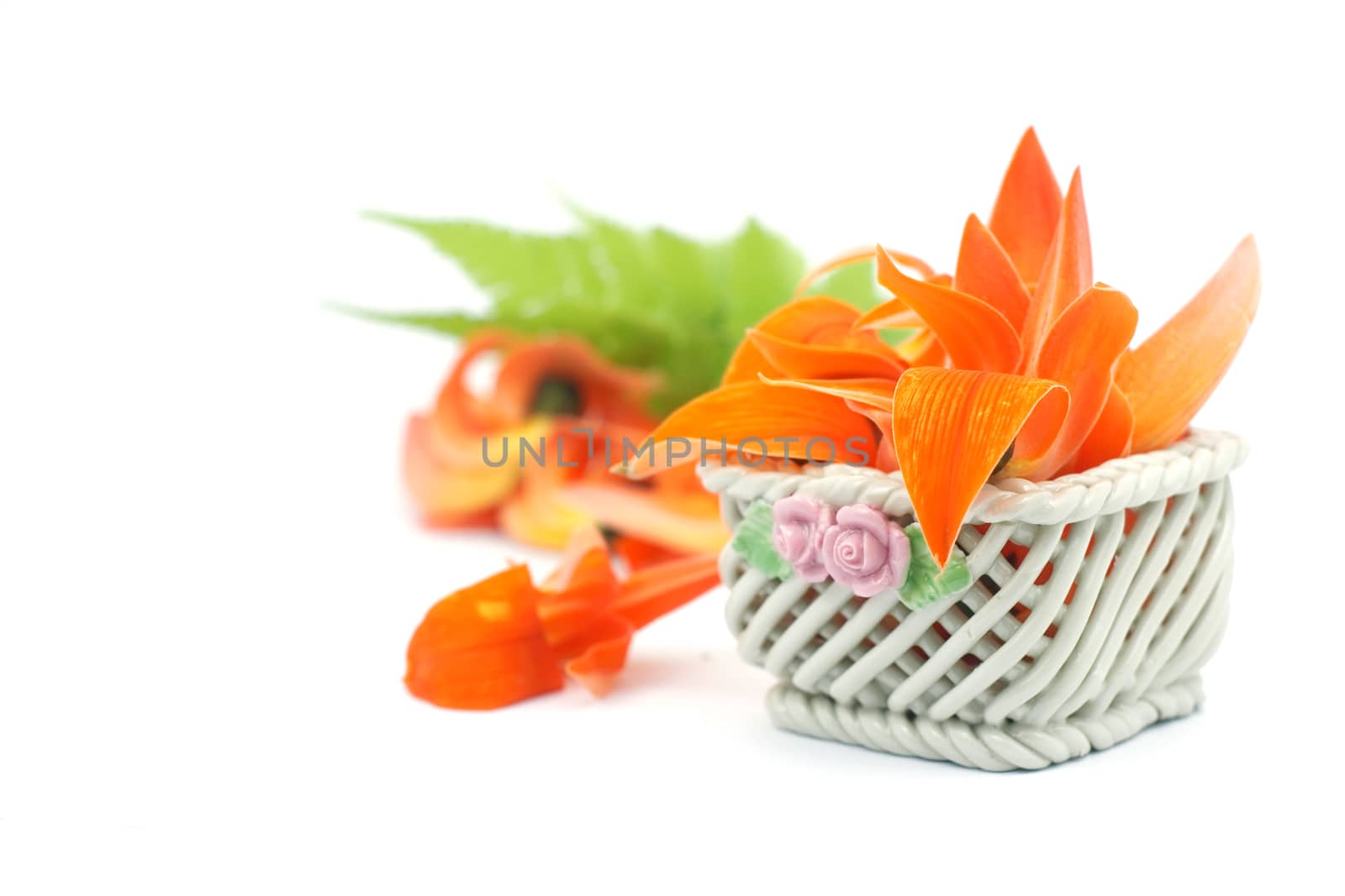 Petals of Bastard Teak Flower in ceramic basket on white background.