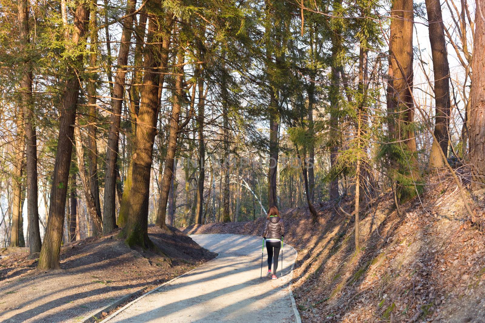 Young fit woman hiking in nature. Adventure, sport and exercise. Copy space.