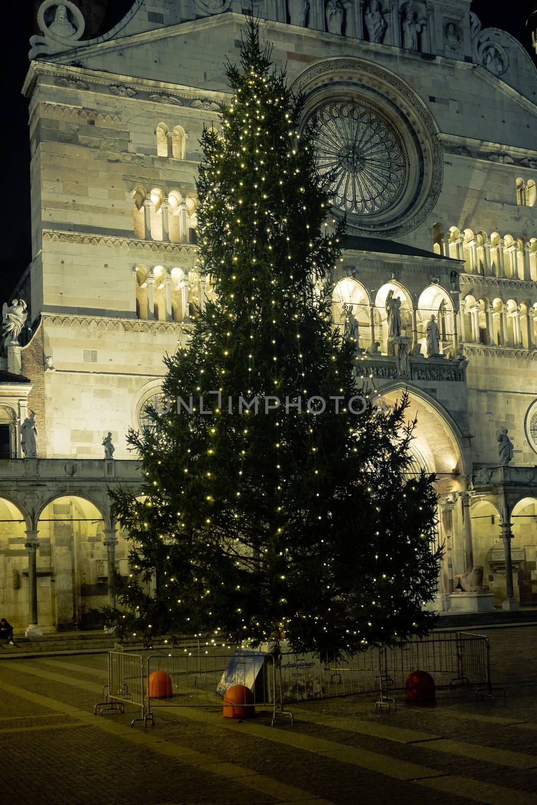 A tall christmas tree in Piazza Duomo