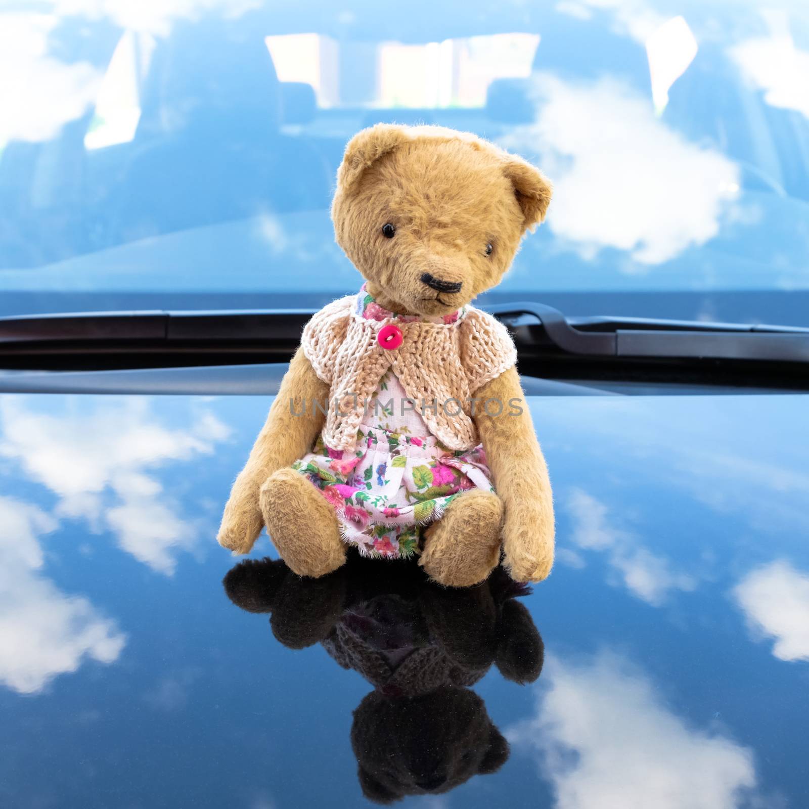 Teddy Bear doll seating on a car bonnet with reflection of sky and clouds