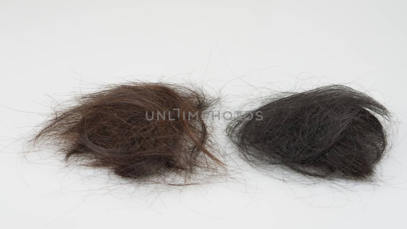 Brown and black hair loss by ninun