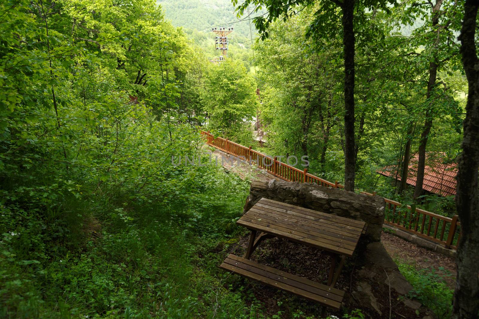Landscape view of intense Black Sea forests with green trees, meadow area, and wooden table.