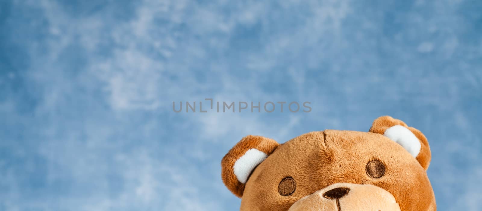 Lovely Teddy Bear by Perseomedusa