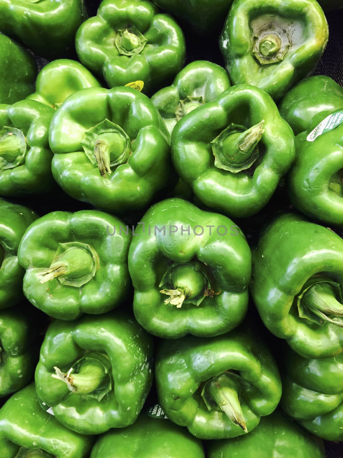 Green Peppers by instinia