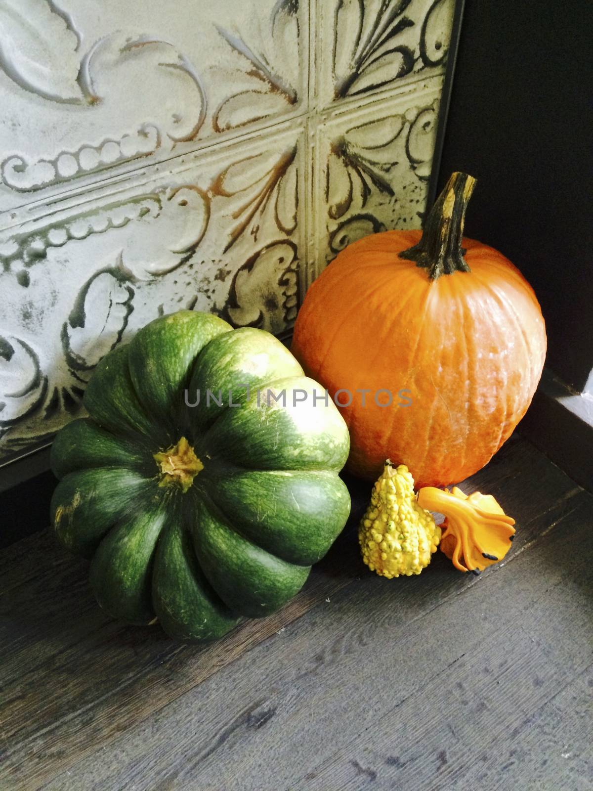 Decorated displayed Pumpkins, Fall 