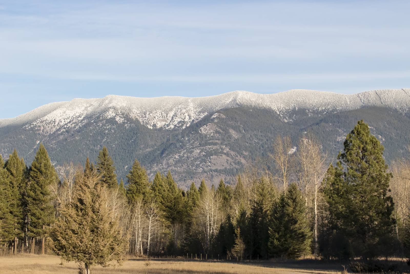 Scenic image of the Great State of Montana