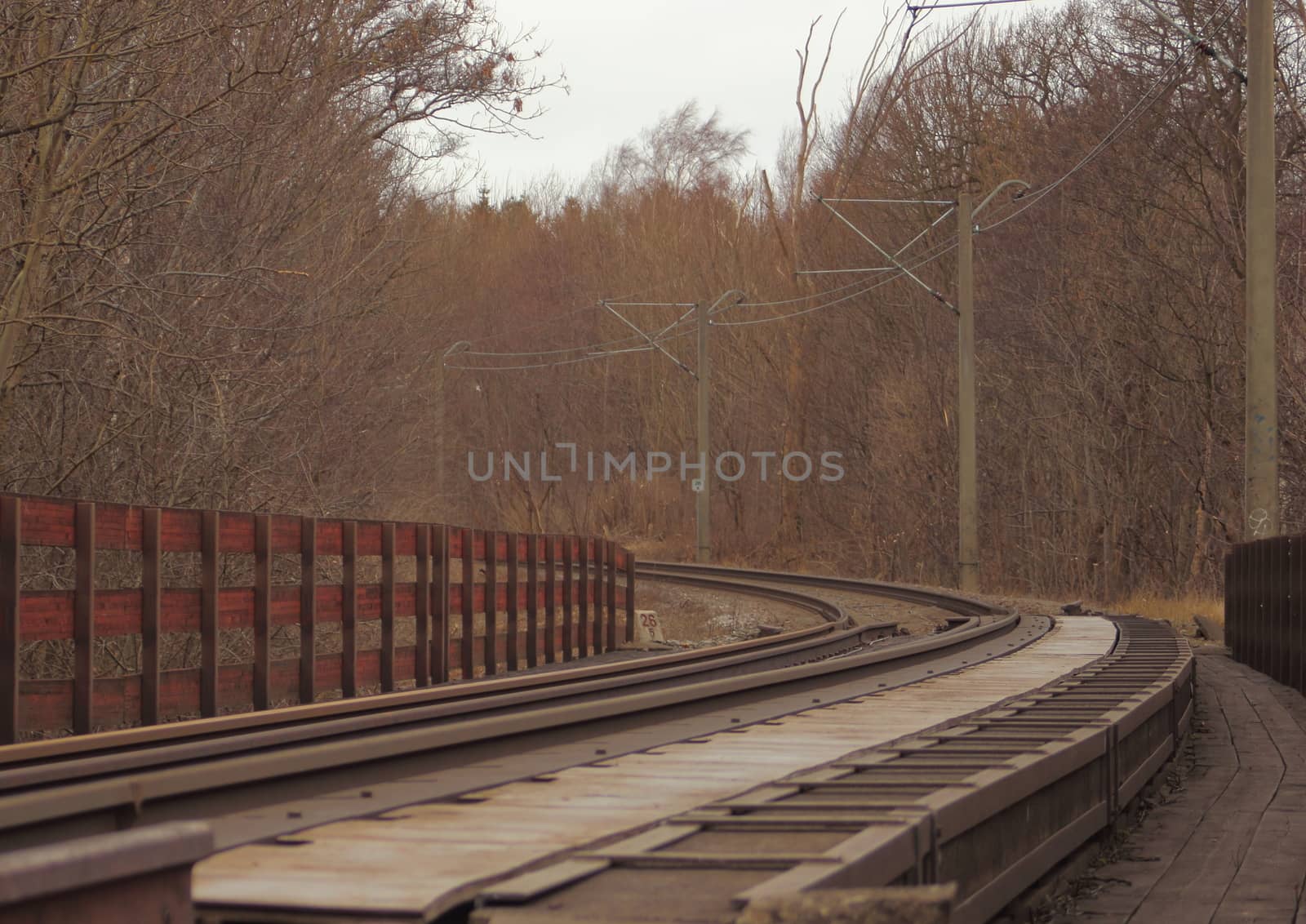 Empty railroad though forest at winter time