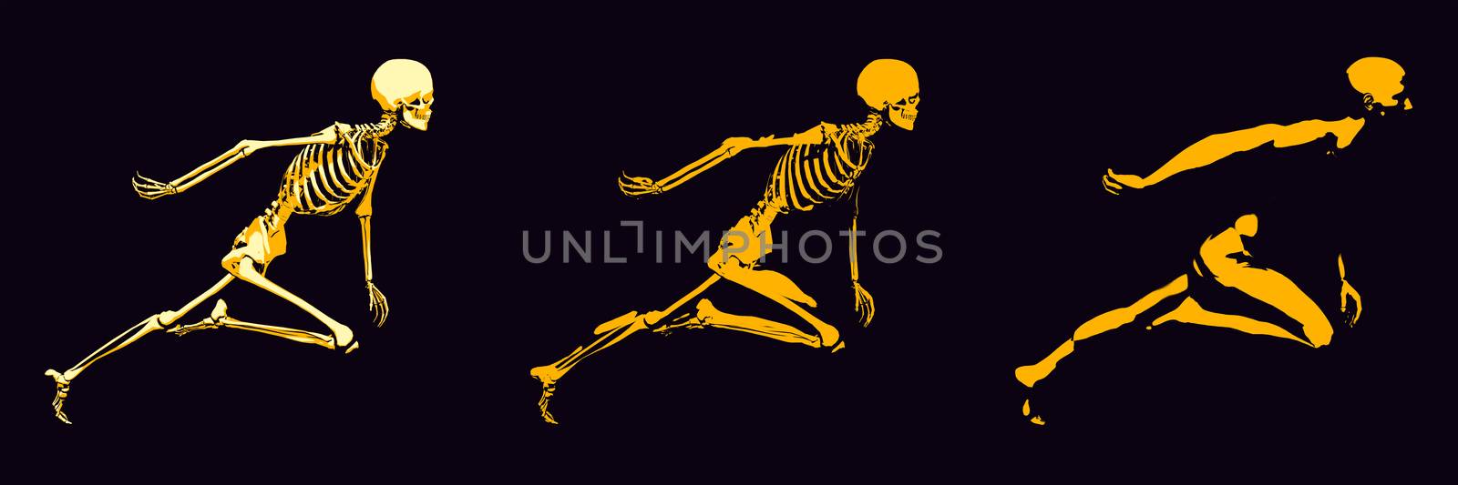 Transparent Human with Bone Structure in Movement
