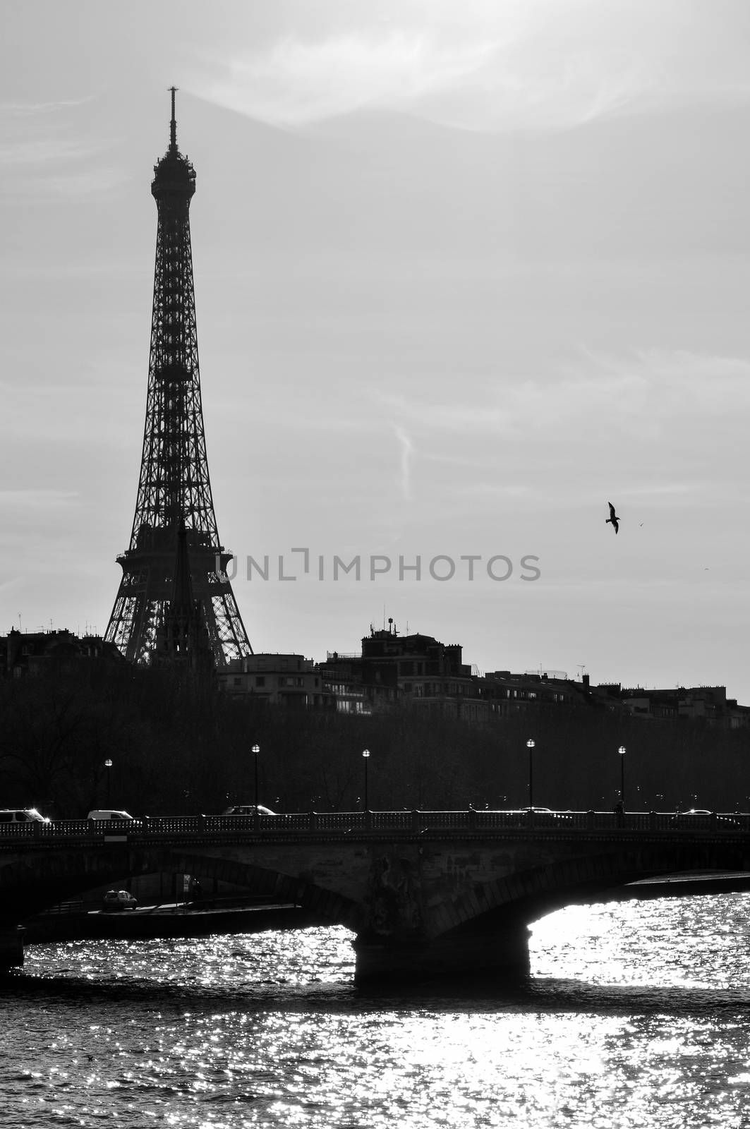The Eiffel Tower and the river Seine in black and white. In Paris, France.