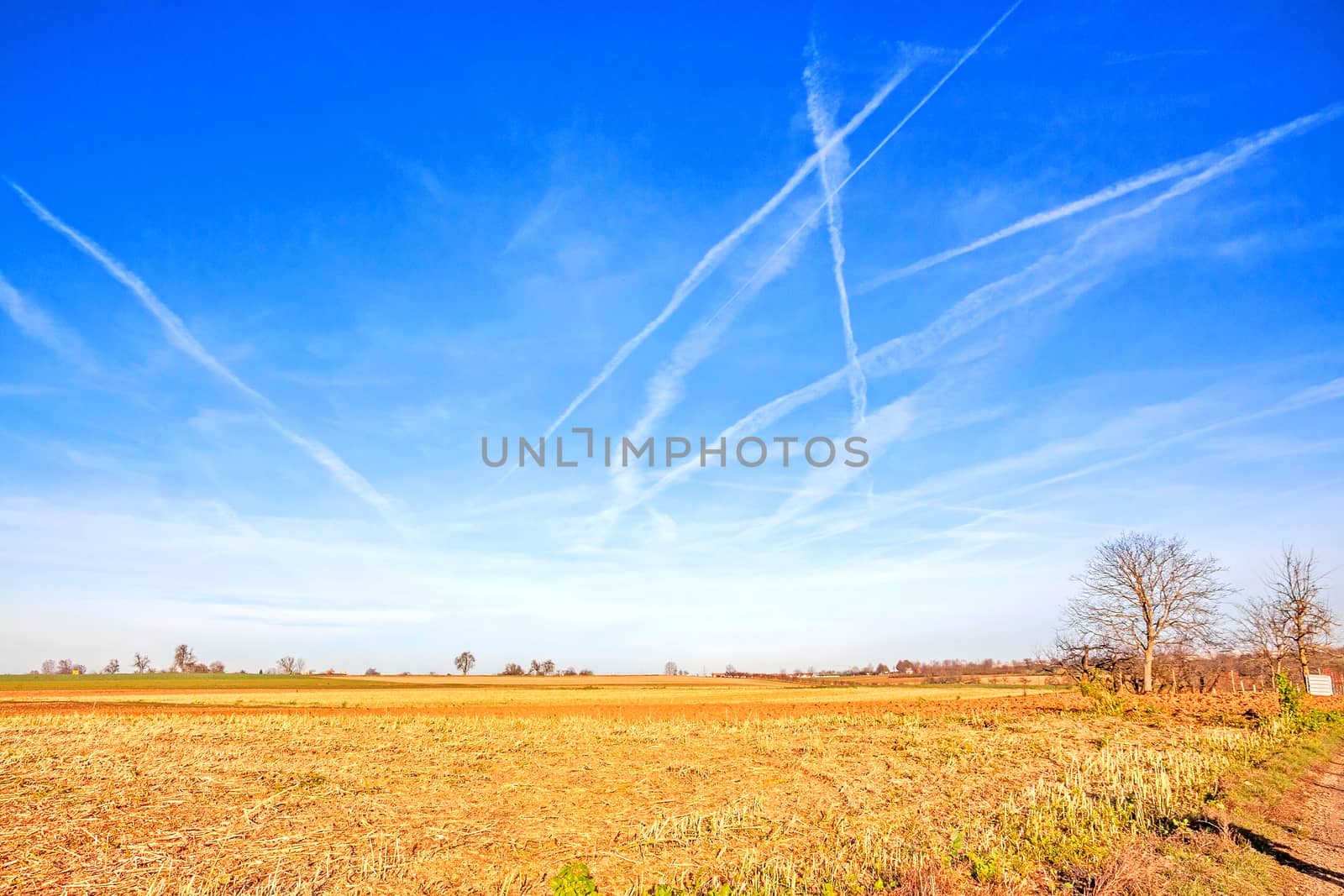 rural landscape - vibrant field, blue sky with clouds