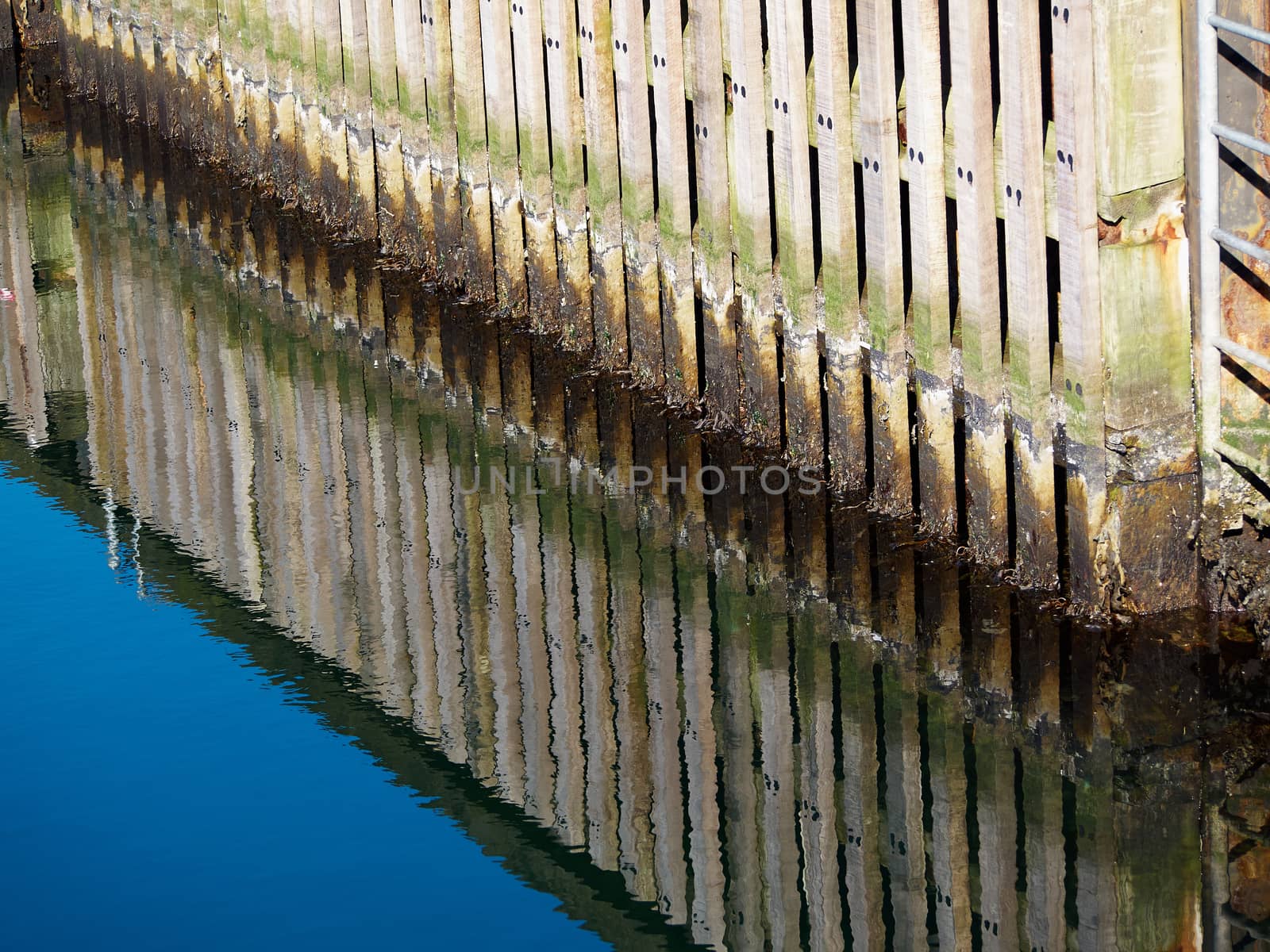 Wooden dock breakwall in a marina harbour by Ronyzmbow