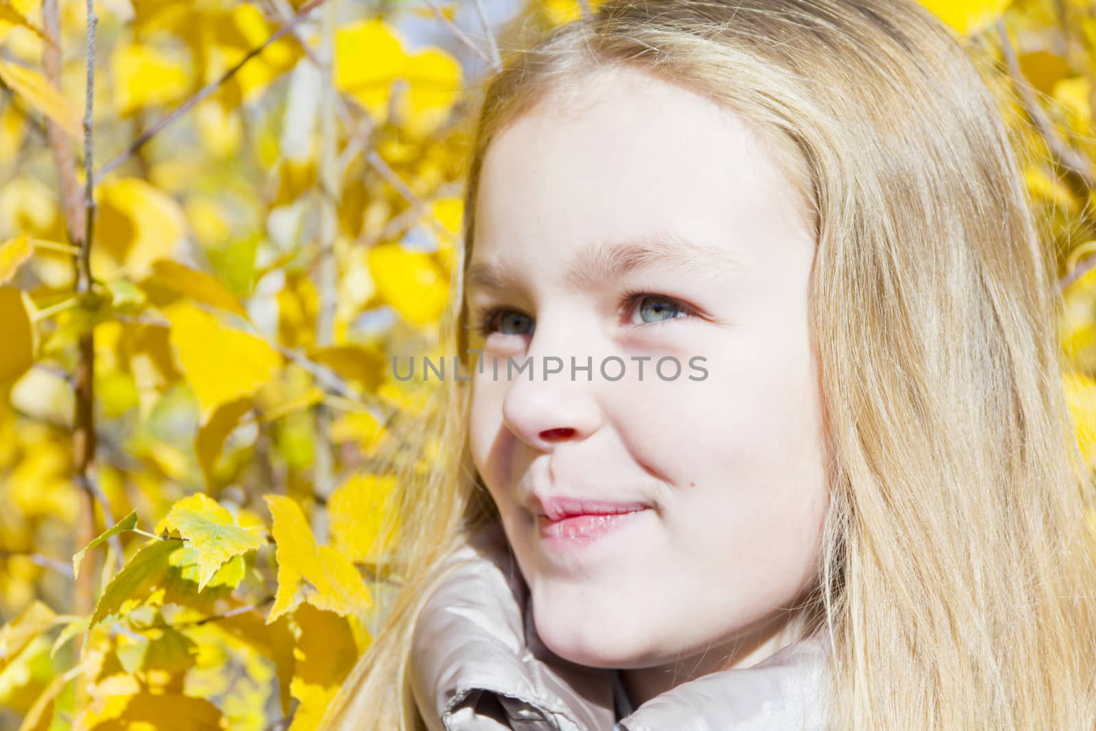 Autumn portrait of blond girl in sunlight