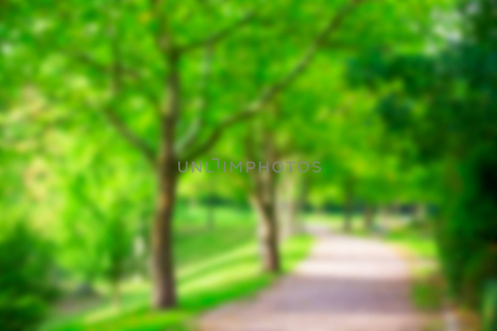 Abstract blur city park bokeh background