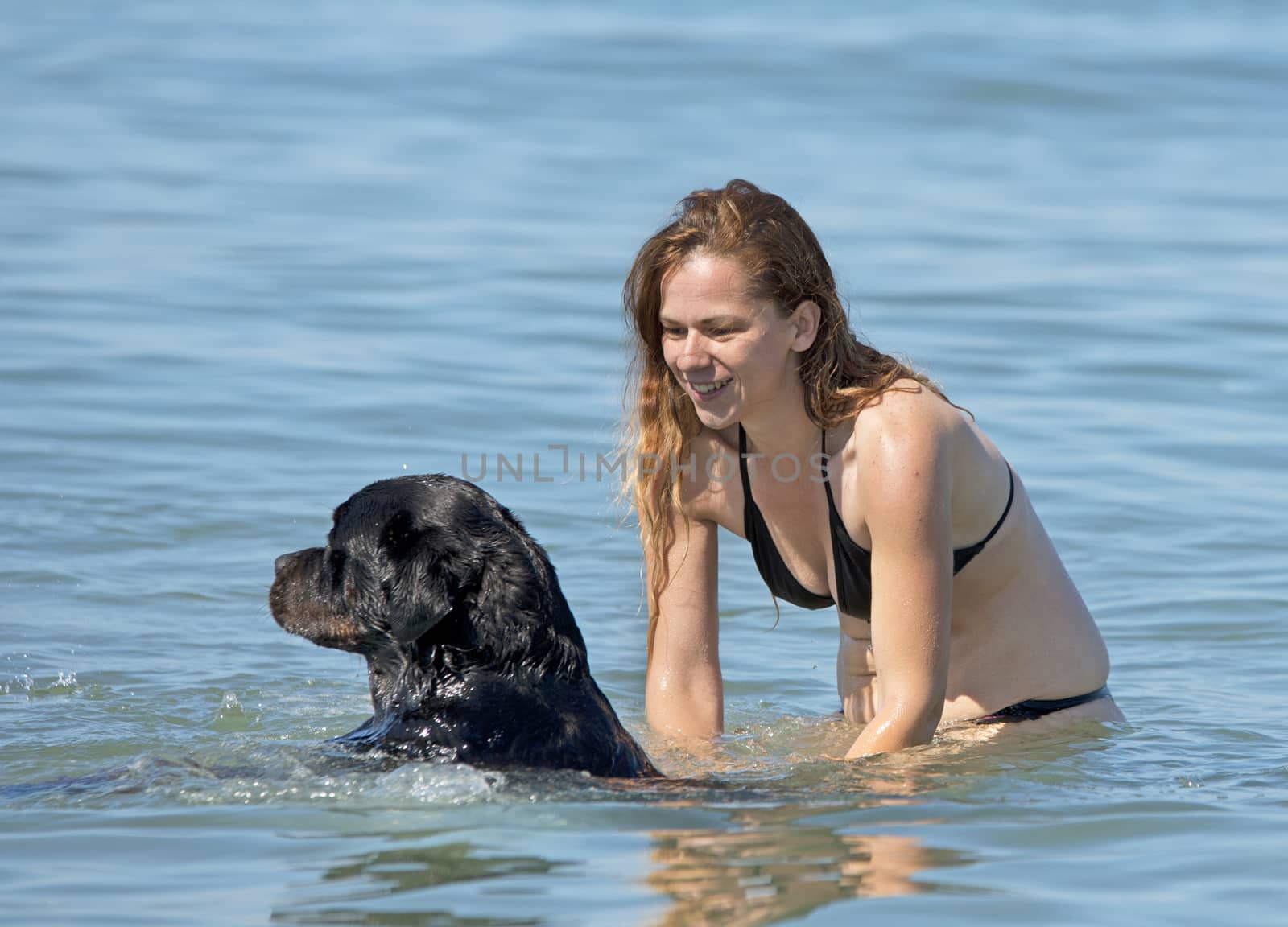 woman and rottweiler playing in the sea