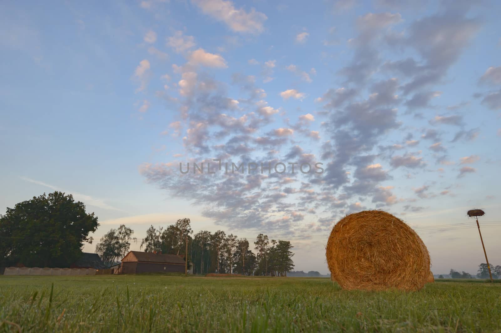 agricultural field, nature and agriculture farming series