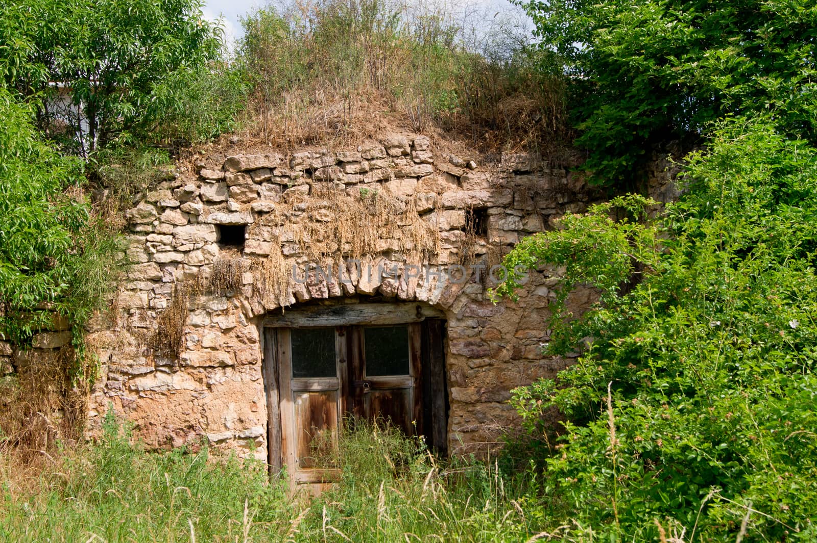 The old abandoned vineyard cellar door is closed.